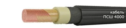 Кабель ПСШ 4000 240